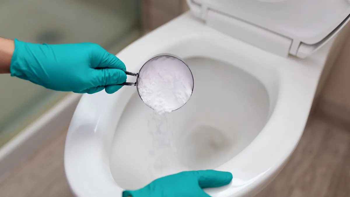 Astuces pour déboucher des WC sans produit chimique